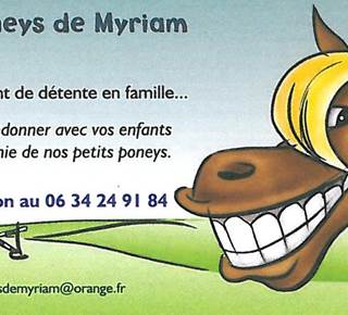 Les poneys de Myriam