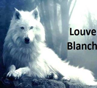 Louve Blanche, conteuse
