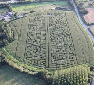 Labyrinthe Géant de Maïs