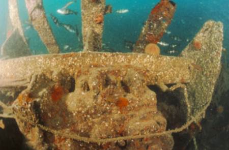 Plongée sous-marine Angélus Plongée